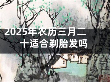 2025年农历三月二十适合剃胎发吗