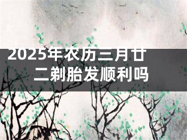 2025年农历三月廿二剃胎发顺利吗