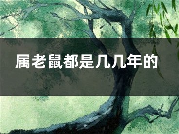 属老鼠都是几几年的