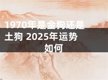 1970年是金狗还是土狗 2025年运势如何