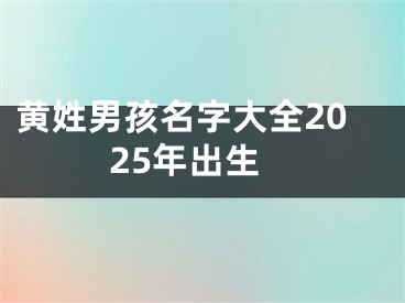 黄姓男孩名字大全2025年出生