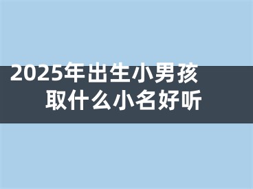 2025年出生小男孩取什么小名好听