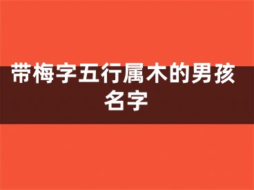 带梅字五行属木的男孩名字