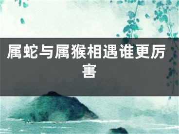 属蛇与属猴相遇谁更厉害
