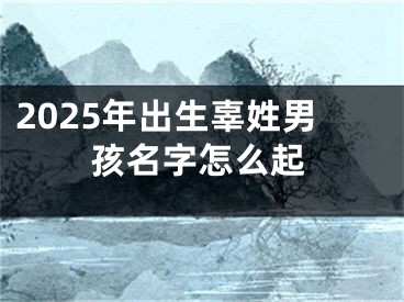 2025年出生辜姓男孩名字怎么起