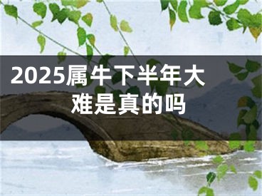 2025属牛下半年大难是真的吗