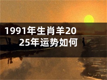 1991年生肖羊2025年运势如何