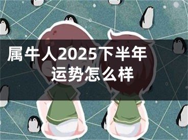 属牛人2025下半年运势怎么样