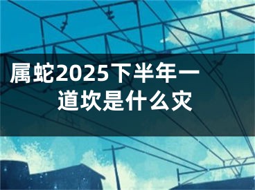 属蛇2025下半年一道坎是什么灾