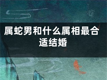 属蛇男和什么属相最合适结婚