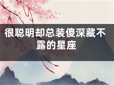 很聪明却总装傻深藏不露的星座