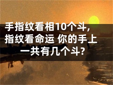 手指纹看相10个斗,指纹看命运 你的手上一共有几个斗?