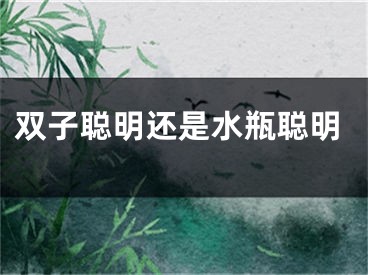 双子聪明还是水瓶聪明