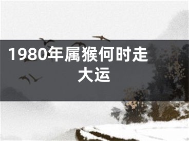 1980年属猴何时走大运