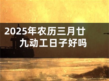 2025年农历三月廿九动工日子好吗