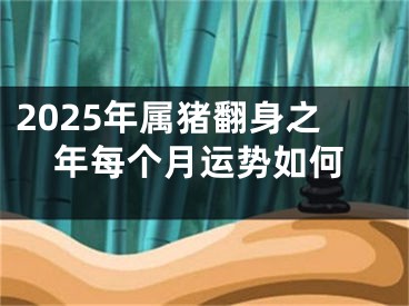 2025年属猪翻身之年每个月运势如何
