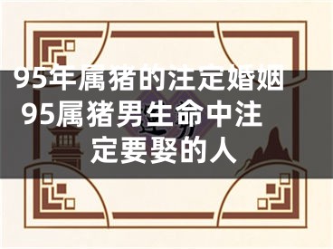 95年属猪的注定婚姻 95属猪男生命中注定要娶的人