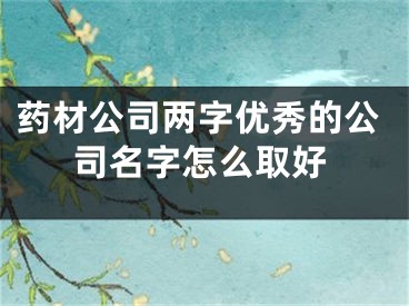 药材公司两字优秀的公司名字怎么取好