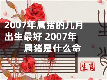 2007年属猪的几月出生最好 2007年属猪是什么命