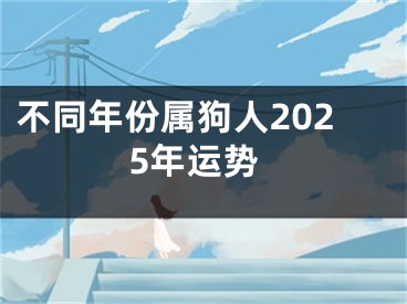 不同年份属狗人2025年运势