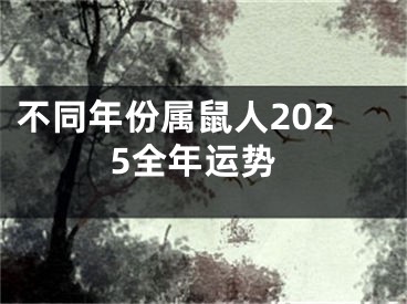 不同年份属鼠人2025全年运势