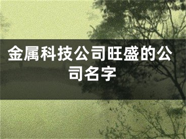 金属科技公司旺盛的公司名字
