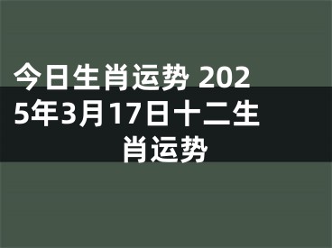 今日生肖运势 2025年3月17日十二生肖运势