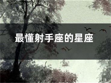最懂射手座的星座