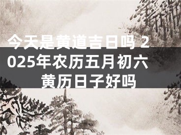 今天是黄道吉日吗 2025年农历五月初六黄历日子好吗
