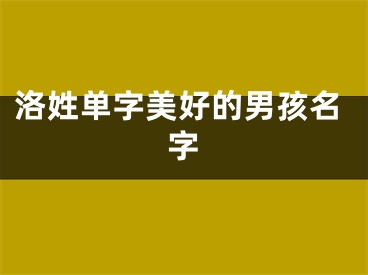 洛姓单字美好的男孩名字