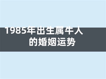1985年出生属牛人的婚姻运势