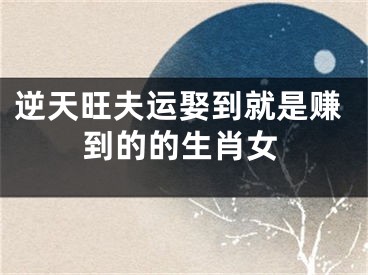 逆天旺夫运娶到就是赚到的的生肖女
