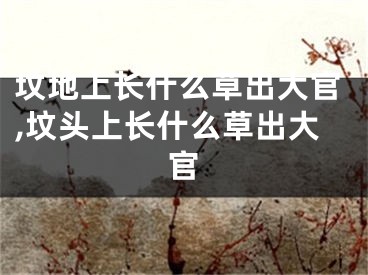 坟地上长什么草出大官,坟头上长什么草出大官