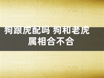 狗跟虎配吗 狗和老虎属相合不合