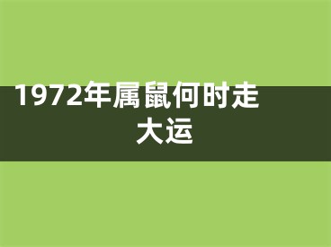 1972年属鼠何时走大运