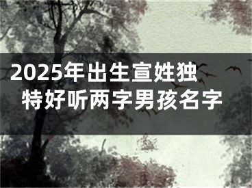 2025年出生宣姓独特好听两字男孩名字