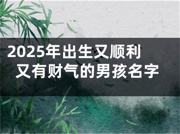2025年出生又顺利又有财气的男孩名字