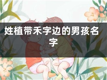姓植带禾字边的男孩名字