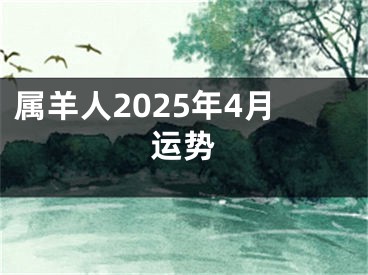属羊人2025年4月运势