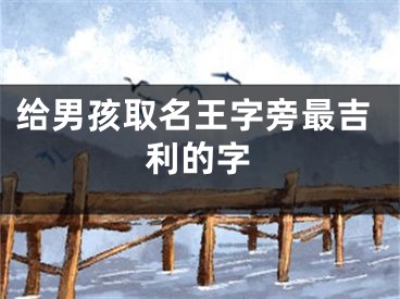 给男孩取名王字旁最吉利的字