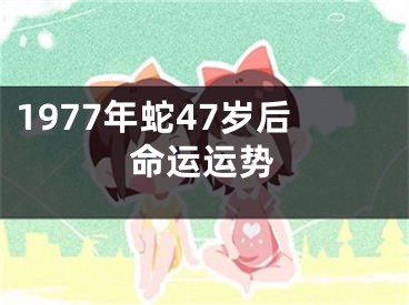 1977年蛇47岁后命运运势