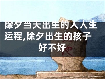 除夕当天出生的人人生运程,除夕出生的孩子好不好