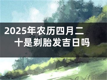 2025年农历四月二十是剃胎发吉日吗
