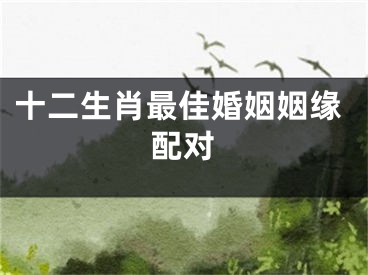 十二生肖最佳婚姻姻缘配对