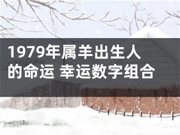 1979年属羊出生人的命运 幸运数字组合