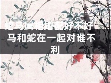 蛇马属相婚配好不好  马和蛇在一起对谁不利