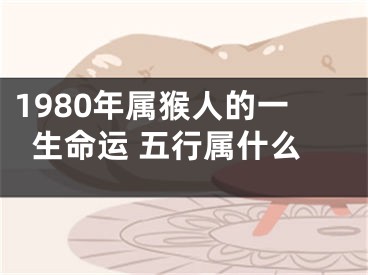 1980年属猴人的一生命运 五行属什么