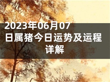 2023年06月07日属猪今日运势及运程详解