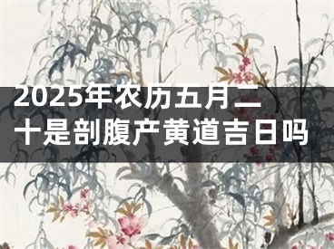 2025年农历五月二十是剖腹产黄道吉日吗
