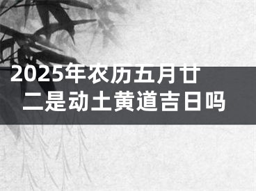 2025年农历五月廿二是动土黄道吉日吗